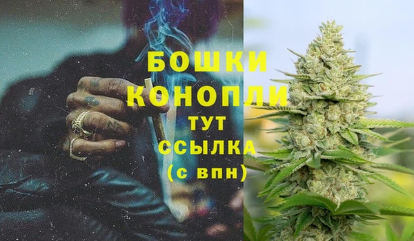 амф Белоозёрский