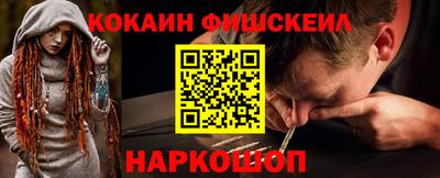 шишки Новодвинск