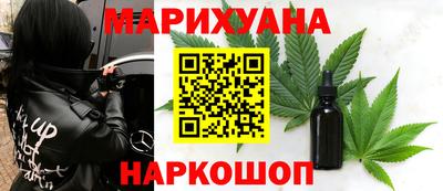 шишки Новодвинск