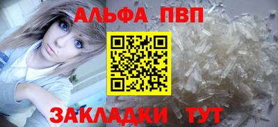 шишки Новодвинск