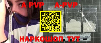 шишки Новодвинск