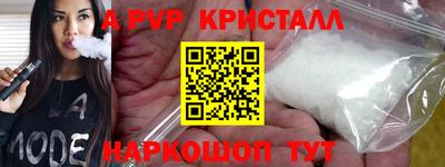 шишки Новодвинск
