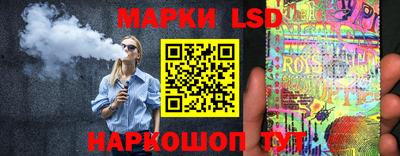 шишки Новодвинск