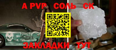шишки Новодвинск