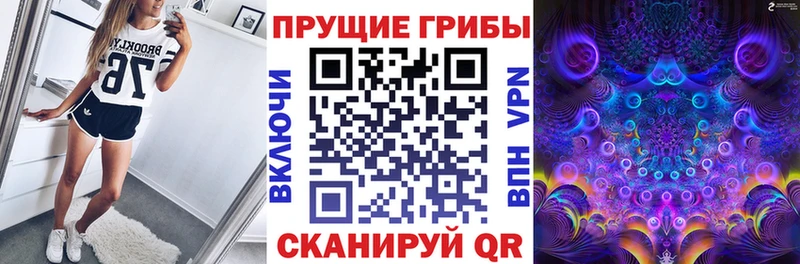 Псилоцибиновые грибы Cubensis  Сердобск 
