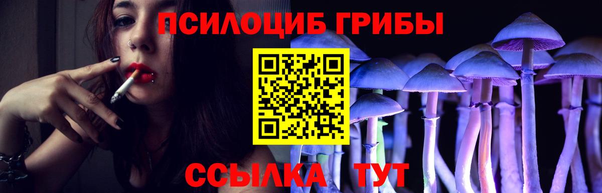 Псилоцибиновые грибы Magic Shrooms  Вход с VPN  Сердобск  Псилоцибиновые грибы MAGIC MUSHROOMS 
