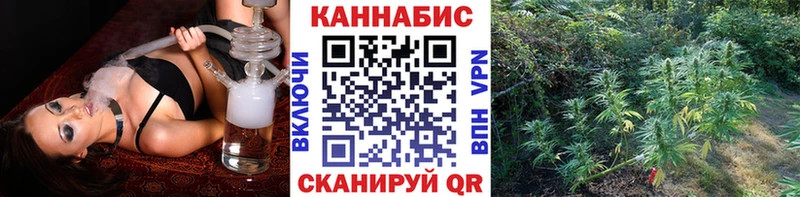 Бошки Шишки план  купить наркоту  блэк спрут сайт  Сердобск 